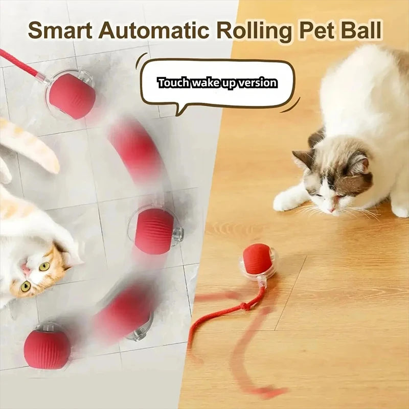 Smart Interactive Cat Ball Toy — Automatic Rolling & LED Lights for Indoor Cats