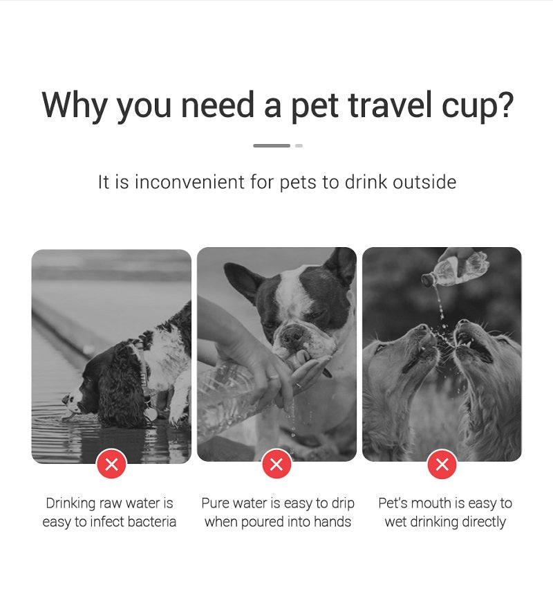Portable Dog Water Bottle — Leakproof Travel Drinking Bowl for Dogs & Cats