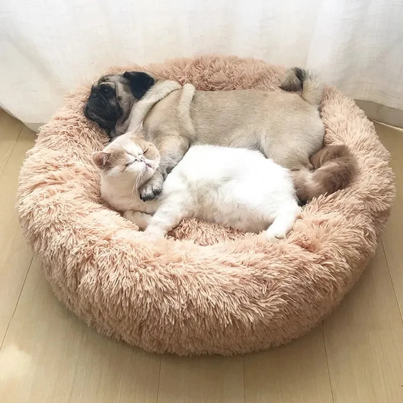 Calming Donut Pet Bed — Super Soft Plush Round Dog & Cat Bed for All Sizes