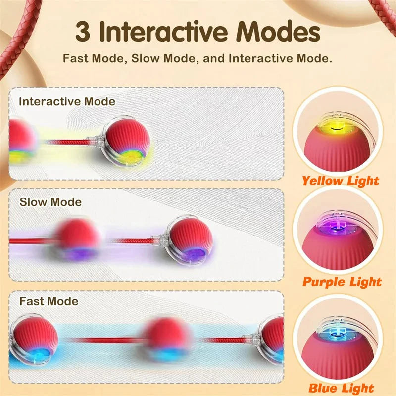 Smart Interactive Cat Ball Toy — Automatic Rolling & LED Lights for Indoor Cats