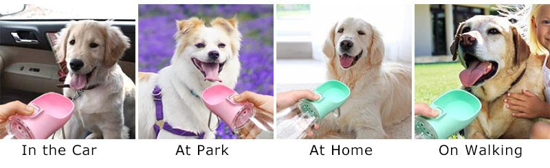 Portable Dog Water Bottle — Leakproof Travel Drinking Bowl for Dogs & Cats