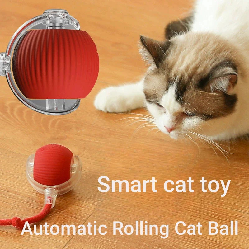 Smart Interactive Cat Ball Toy — Automatic Rolling & LED Lights for Indoor Cats