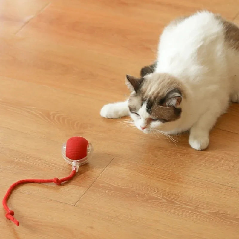 Smart Interactive Cat Ball Toy — Automatic Rolling & LED Lights for Indoor Cats