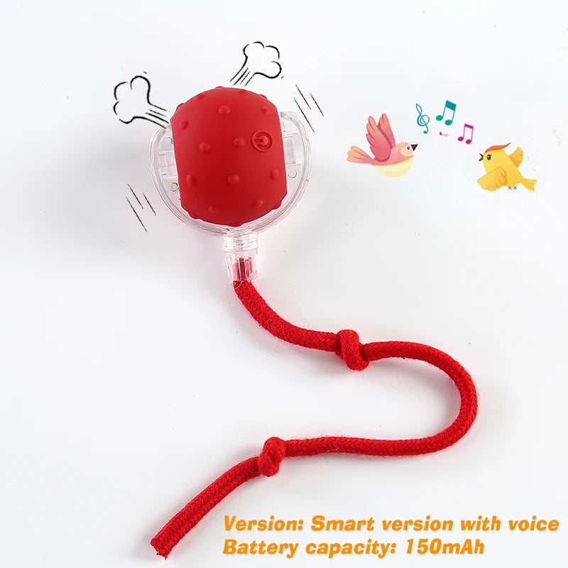 Smart Interactive Cat Ball Toy — Automatic Rolling & LED Lights for Indoor Cats